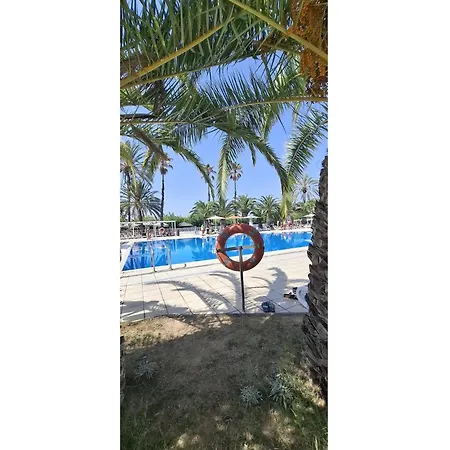 Chic In Near Arona (Tenerife)